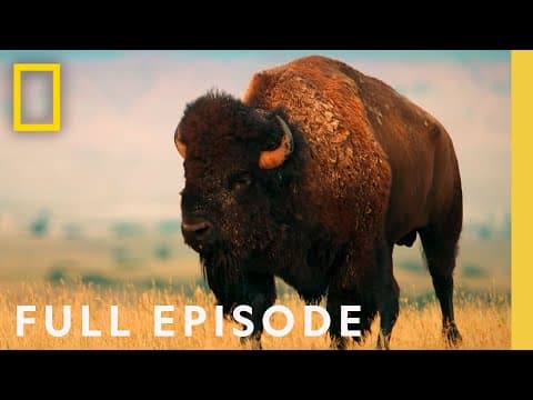 Yellowstone National Park | America's National Parks