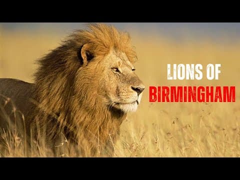 Where bone-chilling roars make hearts tremble, the Birmingham Lions emerge—supreme rulers of Sabi Sands.